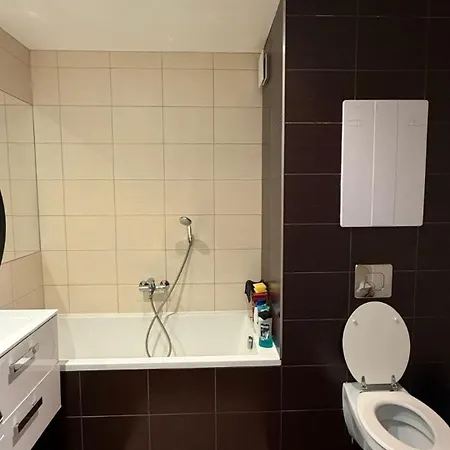 Moderni S Pohodlim Navic Apartment Ostrava