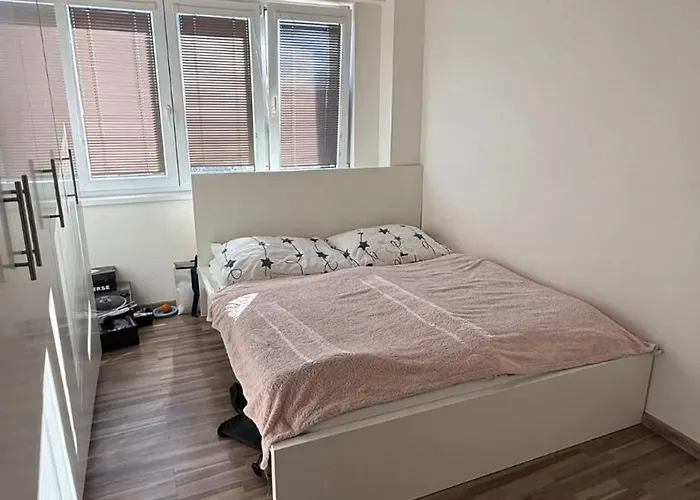 Moderni S Pohodlim Navic Apartment *