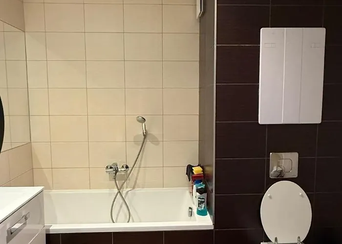 Moderni S Pohodlim Navic Apartment Ostrava